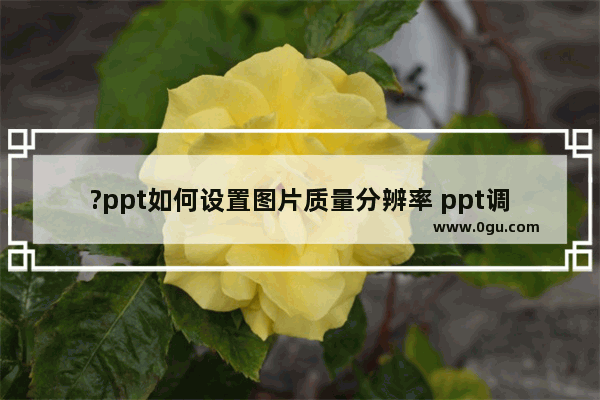 ?ppt如何设置图片质量分辨率 ppt调整图片默认输出设置的方法