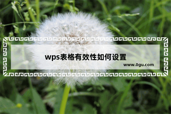 wps表格有效性如何设置