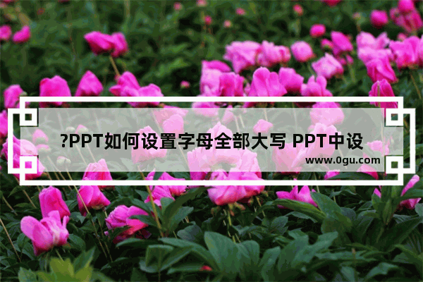 ?PPT如何设置字母全部大写 PPT中设置英文字母全部大写的方法教程