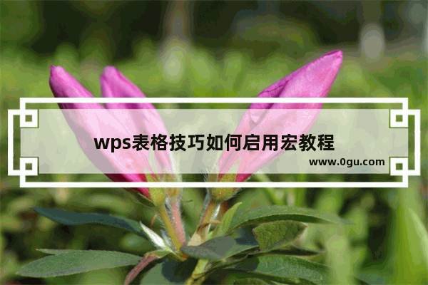 wps表格技巧如何启用宏教程