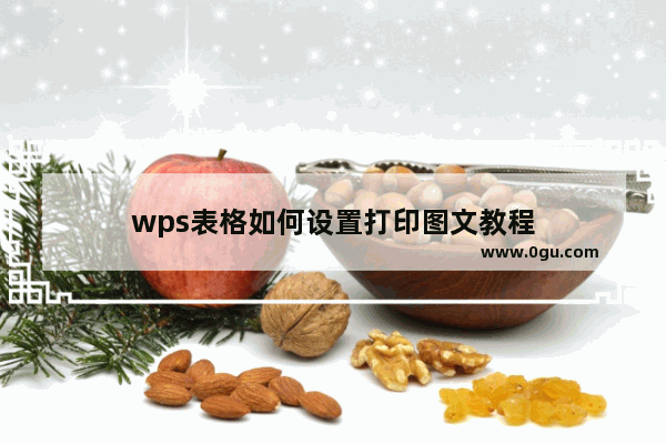 wps表格如何设置打印图文教程