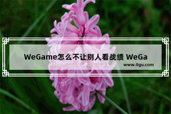 WeGame怎么不让别人看战绩 WeGame不让别人看战绩的方法