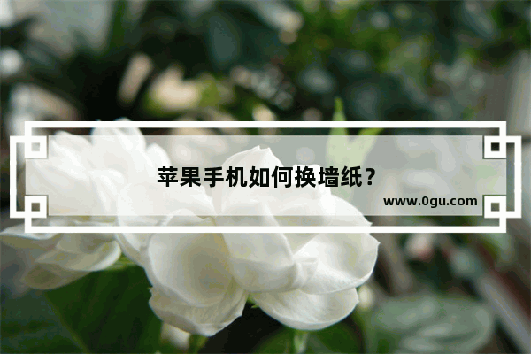 苹果手机如何换墙纸？