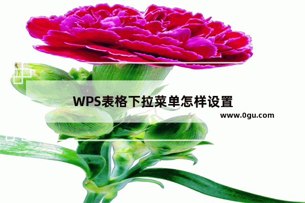 WPS表格下拉菜单怎样设置