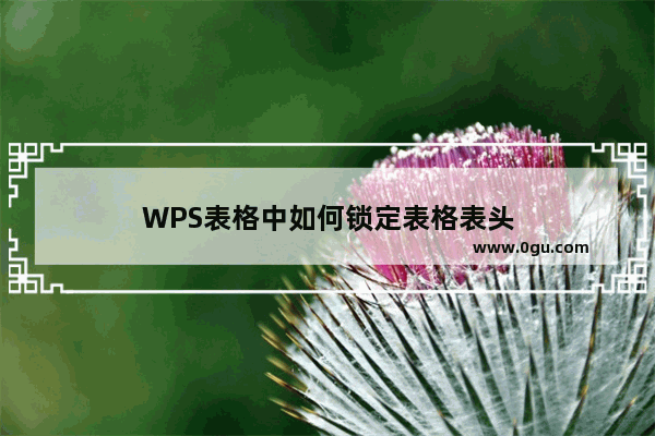 WPS表格中如何锁定表格表头