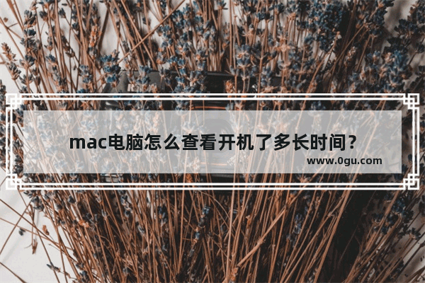 mac电脑怎么查看开机了多长时间？