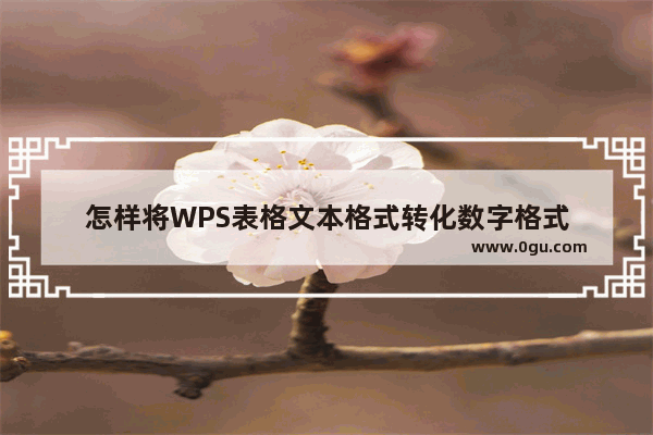 怎样将WPS表格文本格式转化数字格式