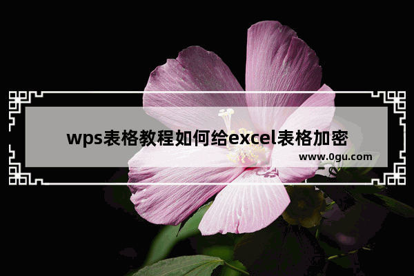 wps表格教程如何给excel表格加密