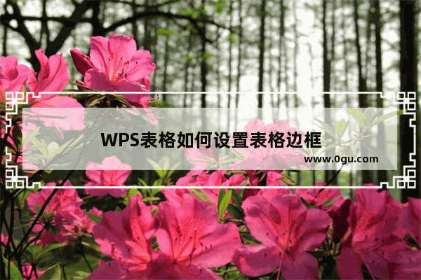 WPS表格如何设置表格边框