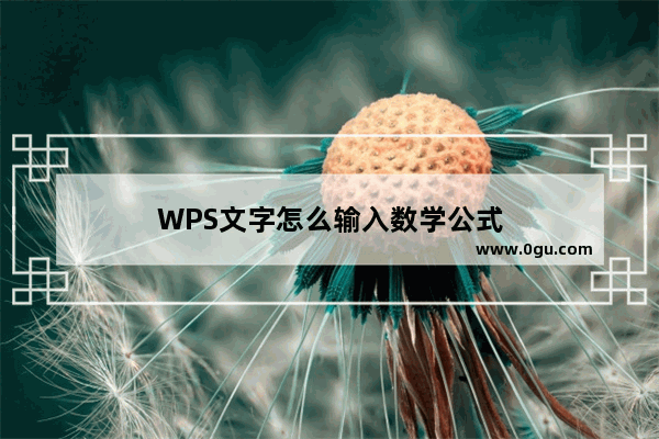 WPS文字怎么输入数学公式