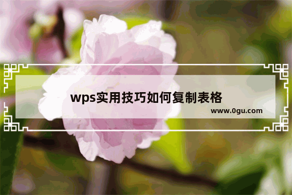 wps实用技巧如何复制表格