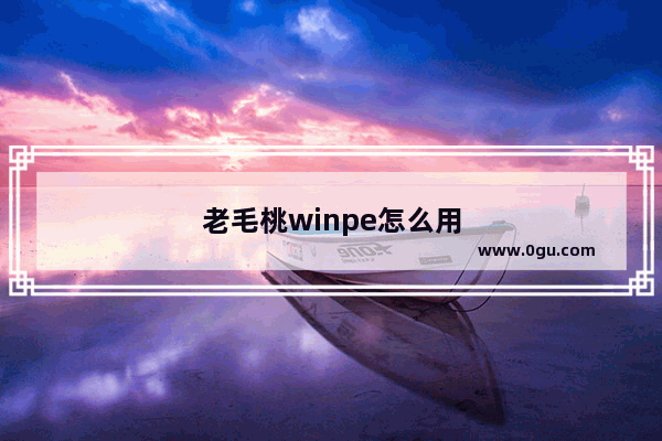 老毛桃winpe怎么用