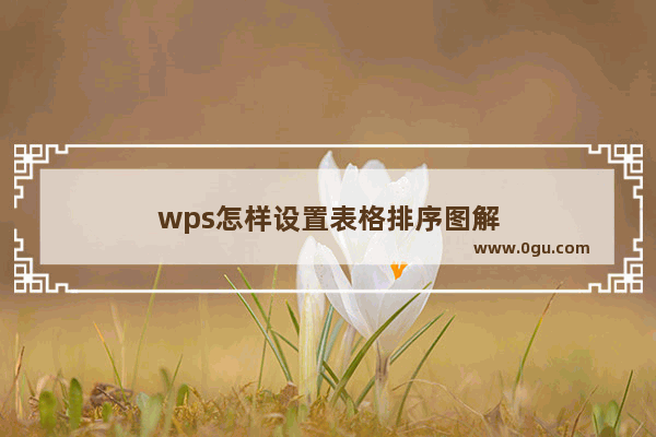 wps怎样设置表格排序图解