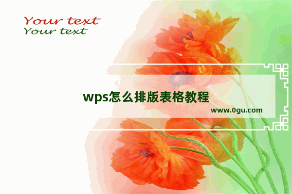 wps怎么排版表格教程