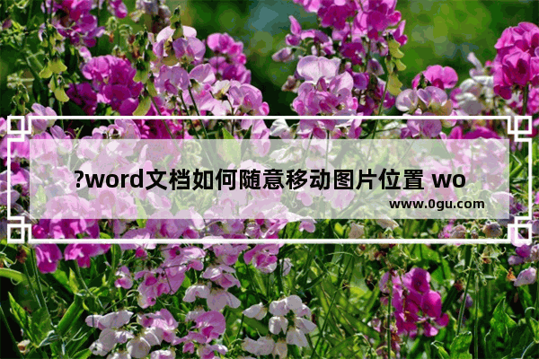 ?word文档如何随意移动图片位置 word文档设置图片自由拖动的方法