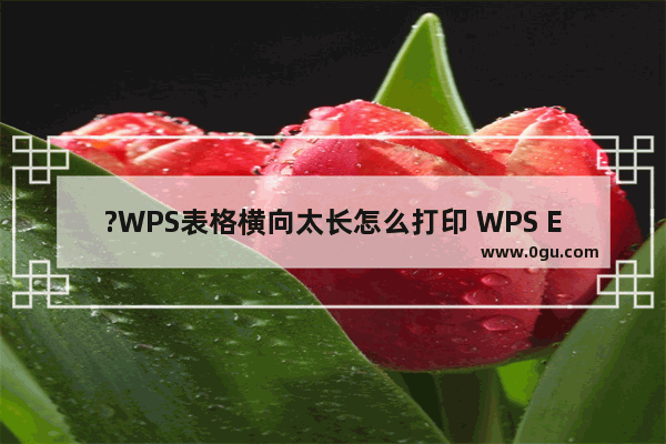 ?WPS表格横向太长怎么打印 WPS Excel进行横向打印的方法教程