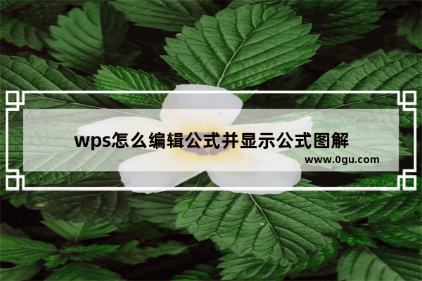 wps怎么编辑公式并显示公式图解