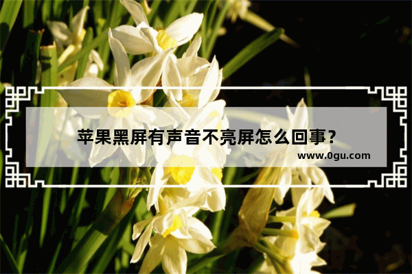 苹果黑屏有声音不亮屏怎么回事？