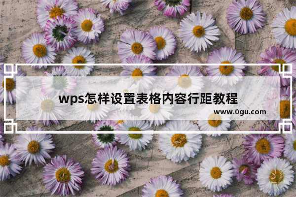 wps怎样设置表格内容行距教程