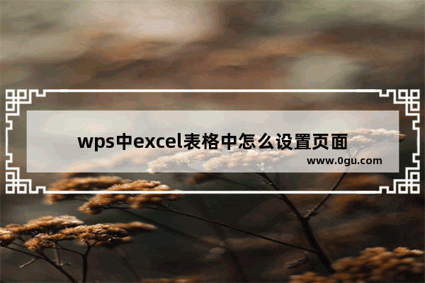 wps中excel表格中怎么设置页面