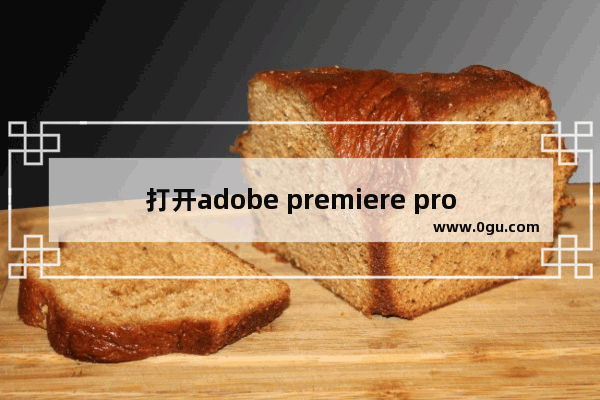 打开adobe premiere pro电脑蓝屏怎么办？