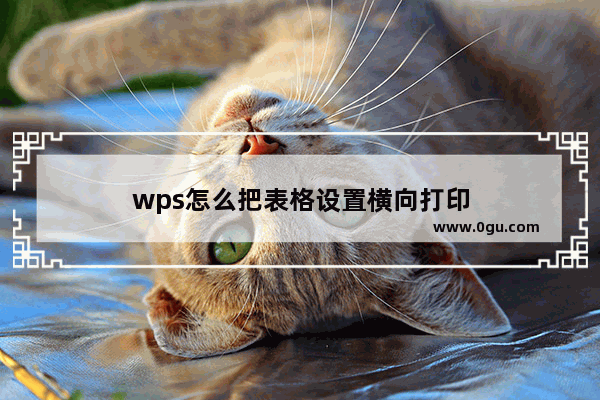 wps怎么把表格设置横向打印