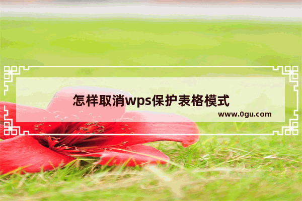 怎样取消wps保护表格模式