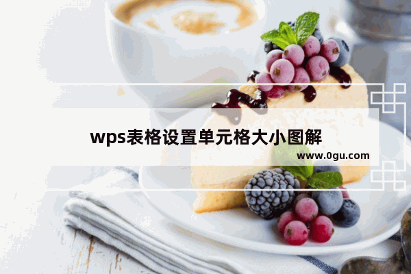 wps表格设置单元格大小图解