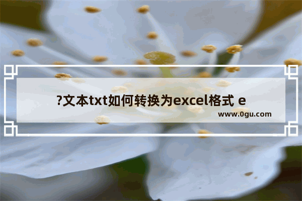 ?文本txt如何转换为excel格式 excel表格导入txt文本数据的方法