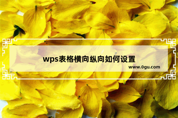 wps表格横向纵向如何设置