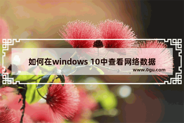 如何在windows 10中查看网络数据使用情况？