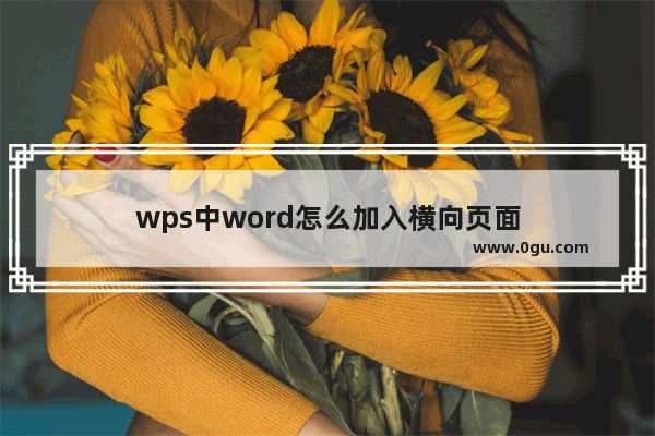 wps中word怎么加入横向页面