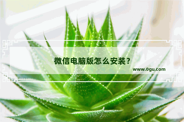 微信电脑版怎么安装？