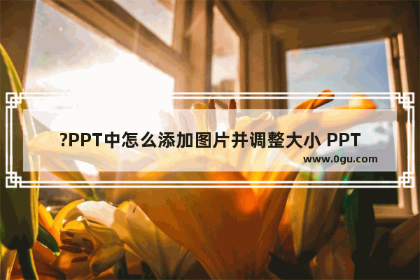 ?PPT中怎么添加图片并调整大小 PPT中插入图片并调整大小的方法教程