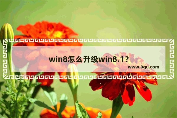 win8怎么升级win8.1？