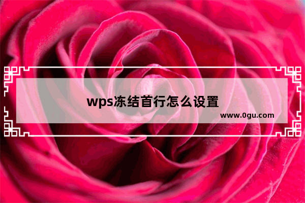 wps冻结首行怎么设置