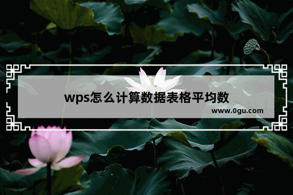 wps怎么计算数据表格平均数