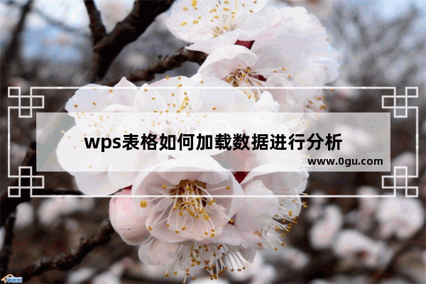 wps表格如何加载数据进行分析