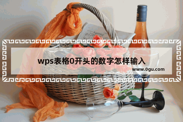 wps表格0开头的数字怎样输入