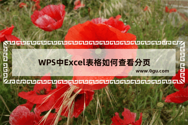 WPS中Excel表格如何查看分页