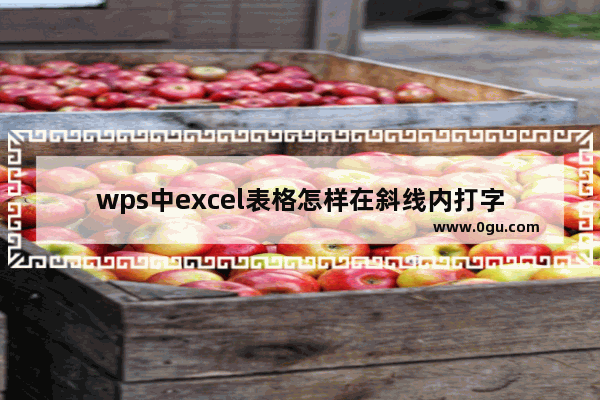 wps中excel表格怎样在斜线内打字