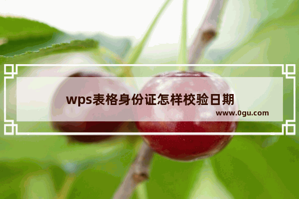 wps表格身份证怎样校验日期