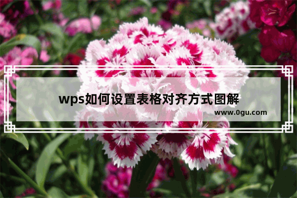 wps如何设置表格对齐方式图解