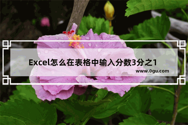 Excel怎么在表格中输入分数3分之1 Excel输入分数3分之1的方法