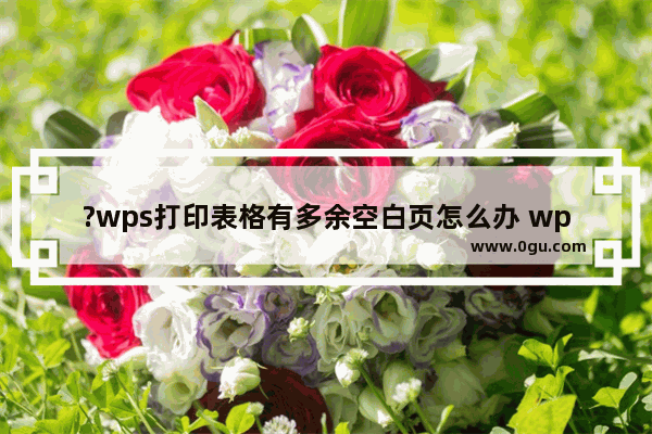 ?wps打印表格有多余空白页怎么办 wps打印表格时删除多余空白页的方法