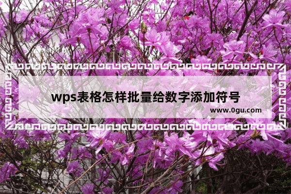 wps表格怎样批量给数字添加符号