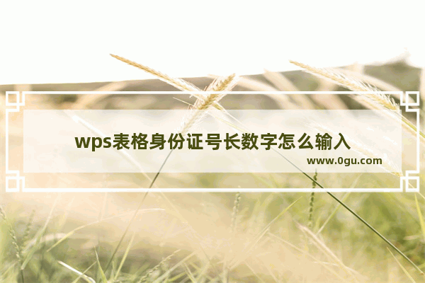 wps表格身份证号长数字怎么输入