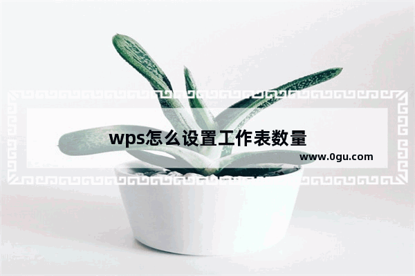 wps怎么设置工作表数量