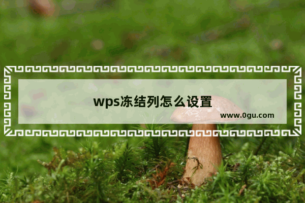 wps冻结列怎么设置