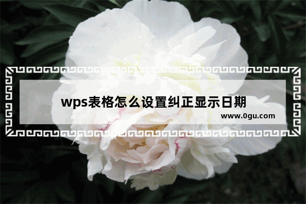 wps表格怎么设置纠正显示日期